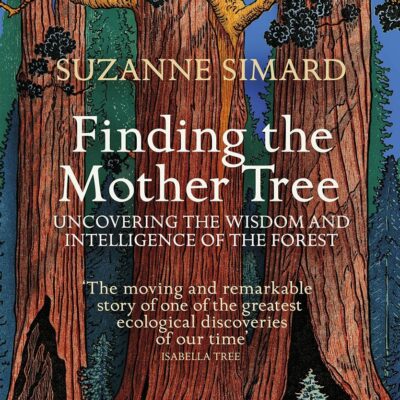 Finding the Mother Tree: Uncovering the Wisdom and Intelligence of the Forest