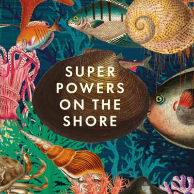 Superpowers on the Shore