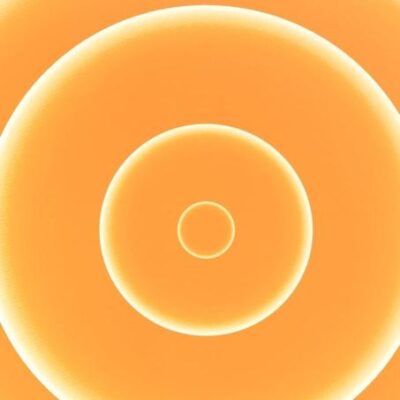 Organelle Genes and Genomes