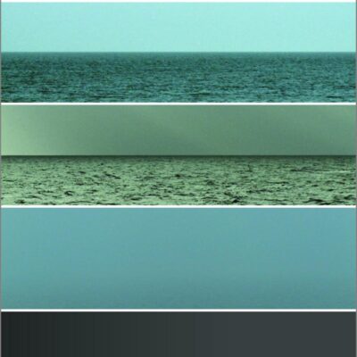 Film, Art, and the Third Culture: A Naturalized Aesthetics of Film