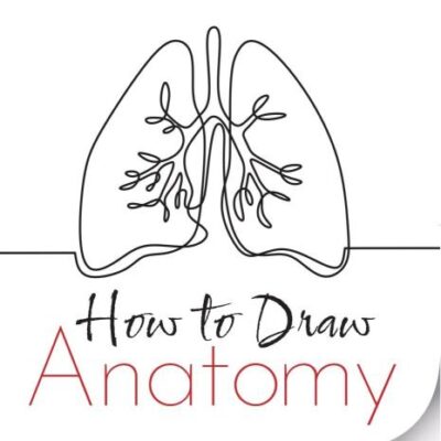 HOW TO DRAW ANATOMY