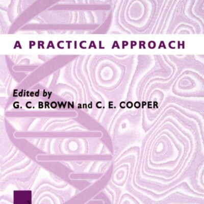 Bioenergetics: A Practical Approach: 154 (Practical Approach Series)