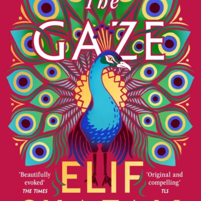 The Gaze: The daringly funny historical novel from the bestselling author of There Are Rivers in the Sky