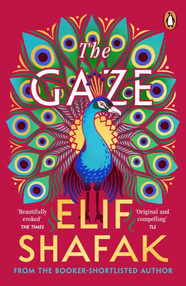 The Gaze: The daringly funny historical novel from the bestselling author of There Are Rivers in the Sky