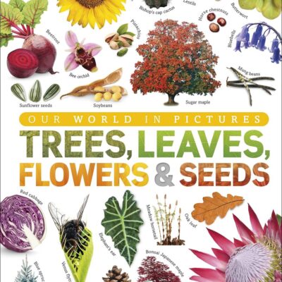 Trees, Leaves, Flowers & Seeds