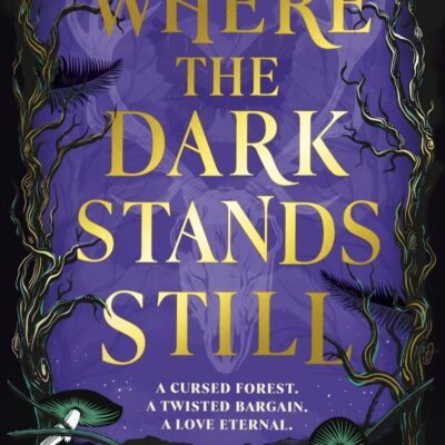 Where the Dark Stands Still: A sweeping, gothic YA fairytale romance