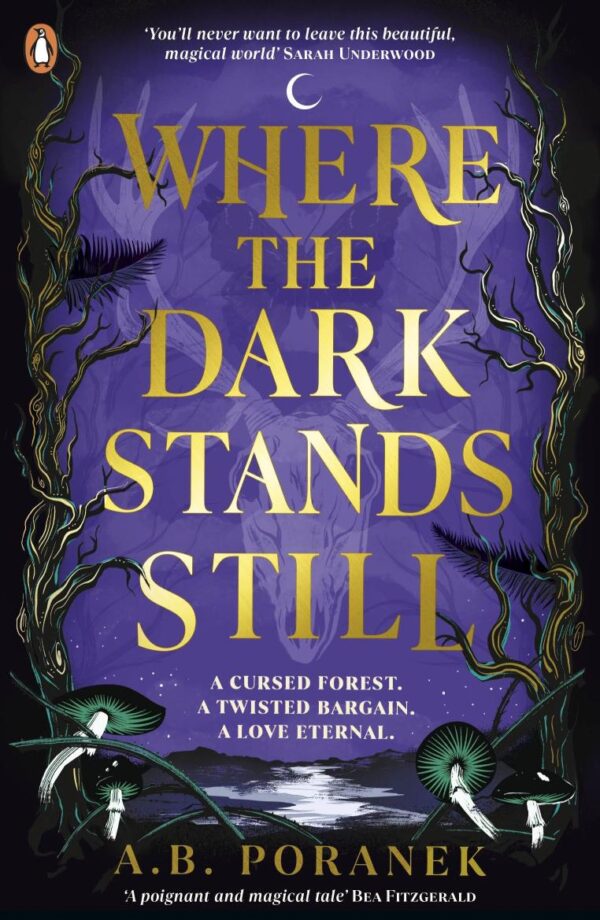 Where the Dark Stands Still: A sweeping, gothic YA fairytale romance