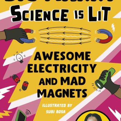 Awesome Electricity and Mad Magnets