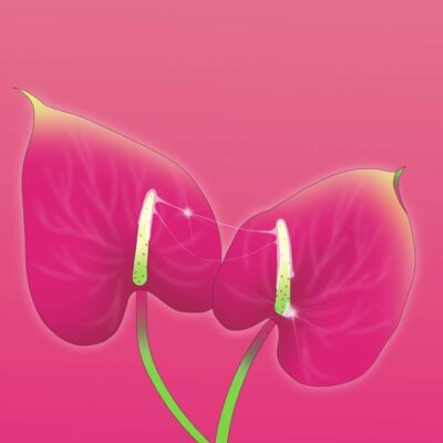 Hunchback: Longlisted for the International Booker Prize 2025