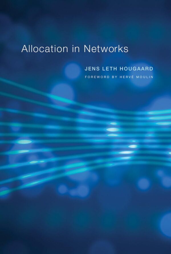 ALLOCATION IN NETWORKS (THE )