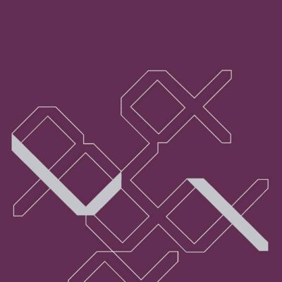 COMPOSING QUESTIONS (LINGUISTIC INQUIRY MONOGRAPHS (80))