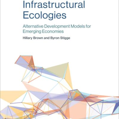 Infrastructural Ecologies: Alternative Development Models for Emerging Economies