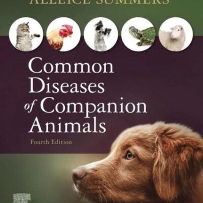 Common Diseases Of Companion Animals