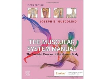 The Muscular System Manual The Skeletal Muscles Of The Human Body With Access Code 5Ed (Pb 2024)