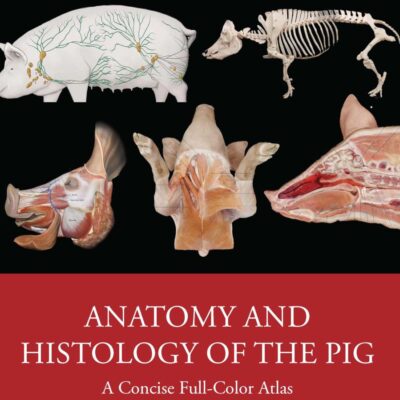 ANATOMY AND HISTOLOGY OF THE PIG A CONCISE FULL COLOR ATLAS (HB 2026)