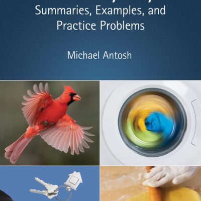 INTRODUCTORY PHYSICS: SUMMARIES, EXAMPLES, AND PRACTICE PROBLEMS, 1ST EDITION
