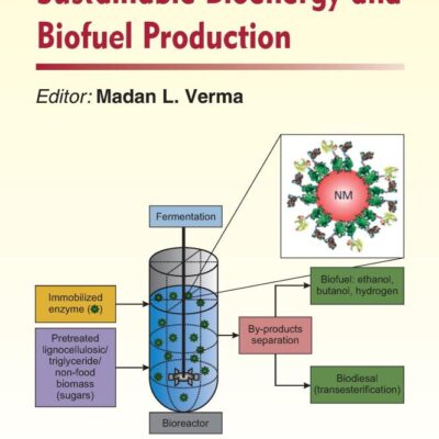 NANOBIOTECHNOLOGY FOR SUSTAINABLE BIOENERGY AND BIOFUEL PRODUCTION 1ED