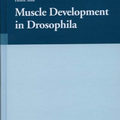MUSCLE DEVELOPMENT IN DROSOPHILIA (HB)