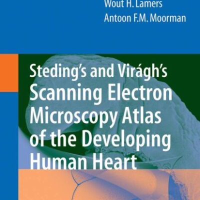 Steding's and Virágh's Scanning Electron Microscopy Atlas of the Developing Human Heart (Hb)