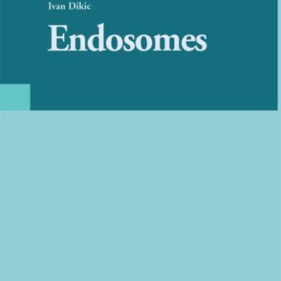 Endosomes (Hb) (Molecular Biology Intelligence Unit)
