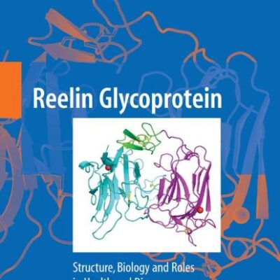 REELIN GLYCOPROTEIN: Structure, Biology and Roles in Health and Disease