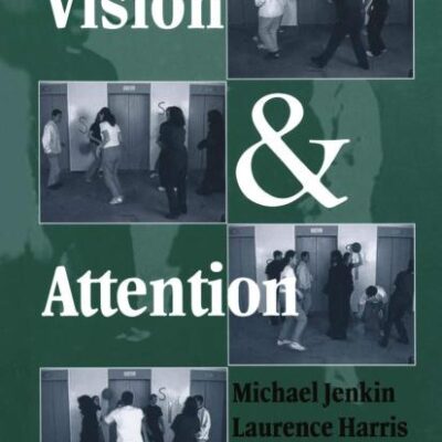 VISION AND ATTENTION