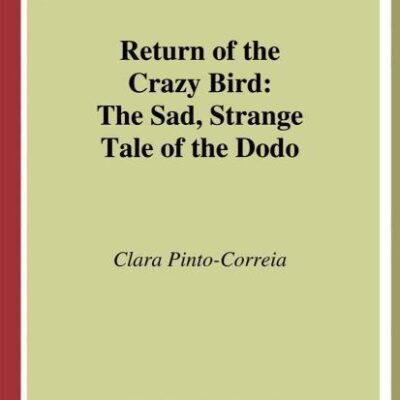 Return of the Crazy Bird: the Sad, Strange Tale of the Dodo (Hb)