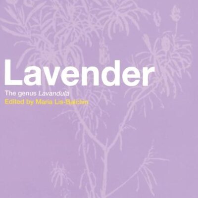 Lavender