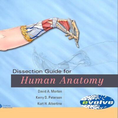 Introducing a Practical and Easy to Follow Guide to Dissection