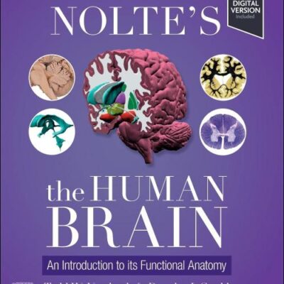 Nolte's the Human Brain: An Introduction to Its Functional Anatomy