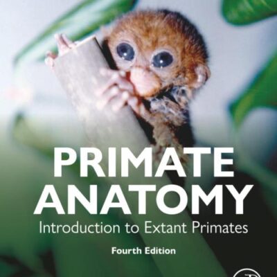 Primate Anatomy: Introduction to Extant Primates