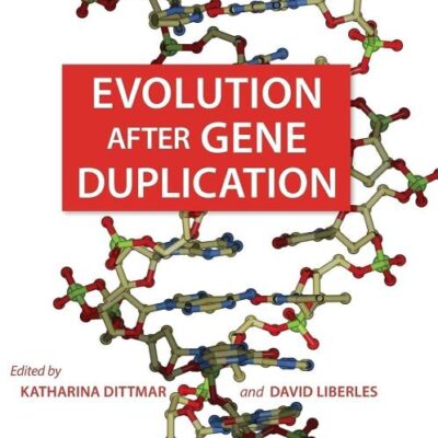 Evolution after Gene Duplication
