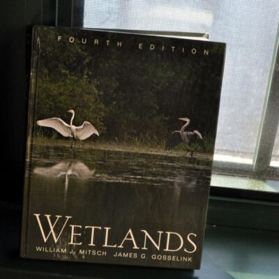 Wetlands