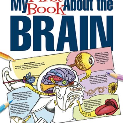 My First Book About The Brain