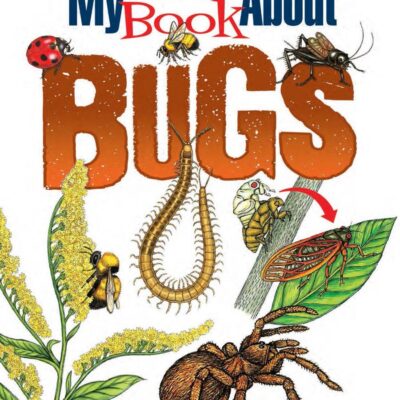 My First Book About Bugs