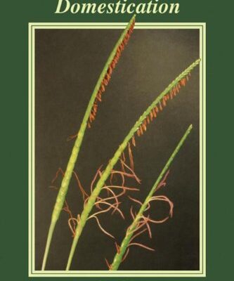 Grass Evolution and Domestication