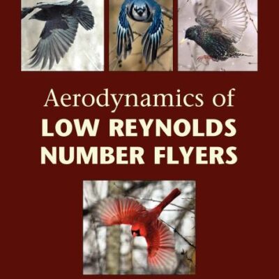 Aerodynamics of Low Reynolds Number Flyers