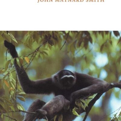 The Theory of Evolution (Canto)