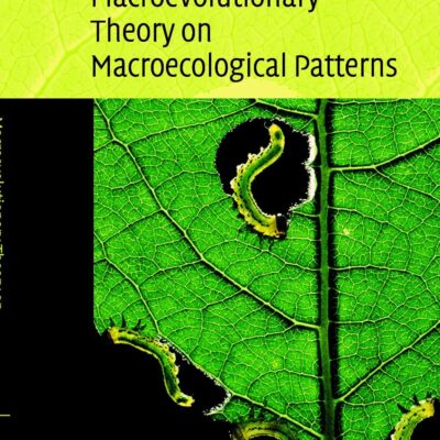 Macroevolutionary Theory on Macroecological Patterns
