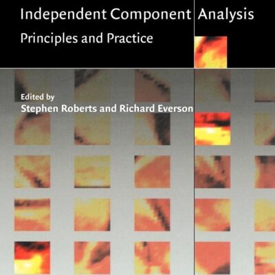 Independent Component Analysis: Principles and Practice