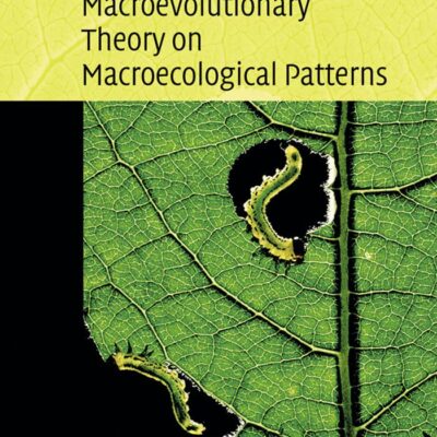 Macroevolutionary Theory on Macroecological Patterns