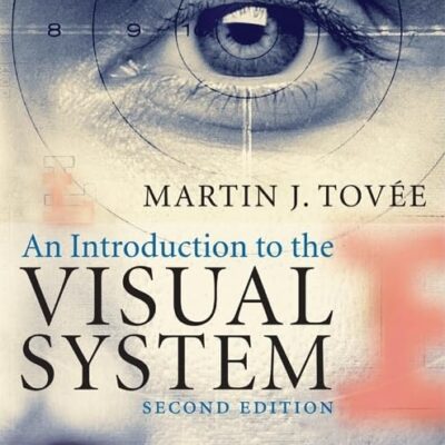 An Introduction to the Visual System