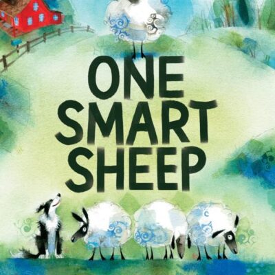 One Smart Sheep