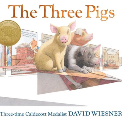 Three Pigs: Mistborn Book One: A Caldecott Award Winner (Caldecott Honor Book)