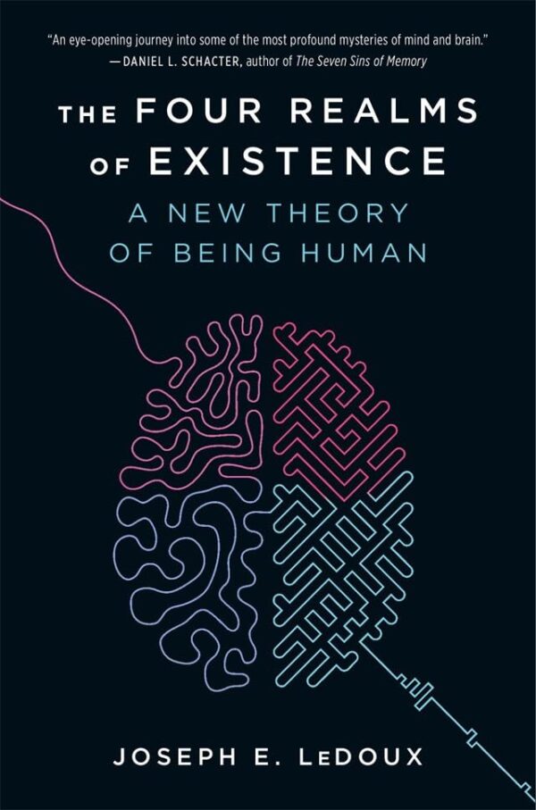 The Four Realms of Existence : A New Theory of Being Human