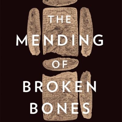 The Mending of Broken Bones : A Modern Guide to Classical Algebra