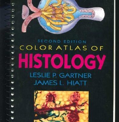 Clinical Foot Roentgenology