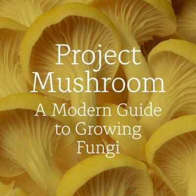 Project Mushroom: A Modern Guide to Growing Fungi