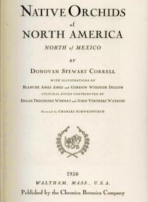 The Developing Human: Clinically Oriented Embryology