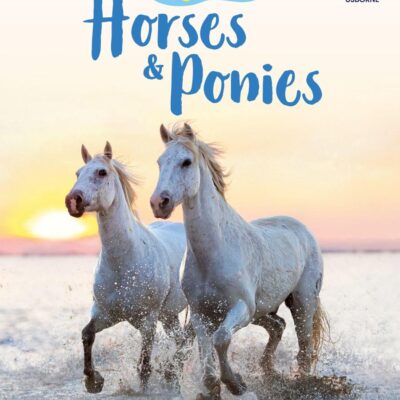 Horses and Ponies (Usborne Beginners)